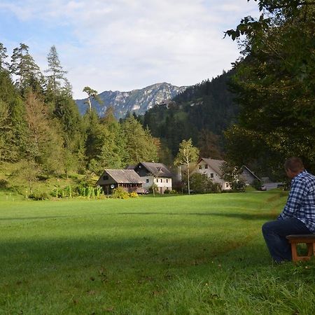 The Farmhouse Bevsek Osep Solčava 外观 照片