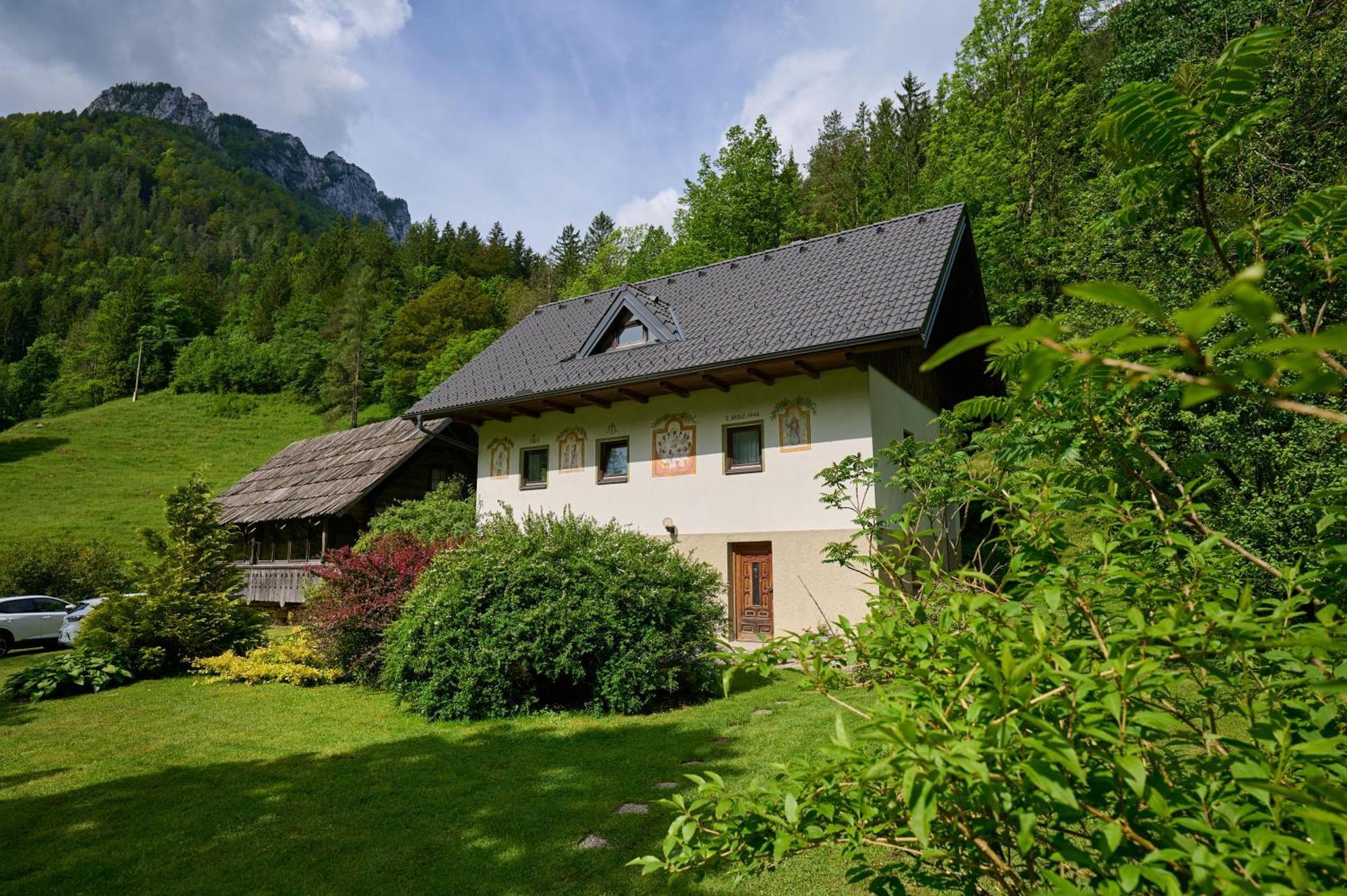 The Farmhouse Bevsek Osep Solčava 外观 照片