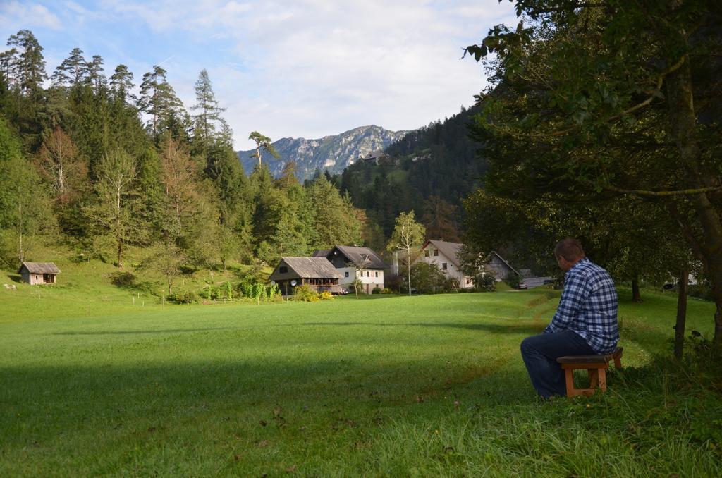 The Farmhouse Bevsek Osep Solčava 外观 照片