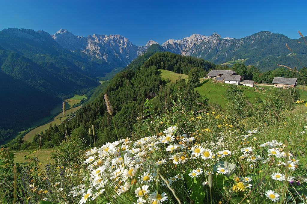 The Farmhouse Bevsek Osep Solčava 外观 照片