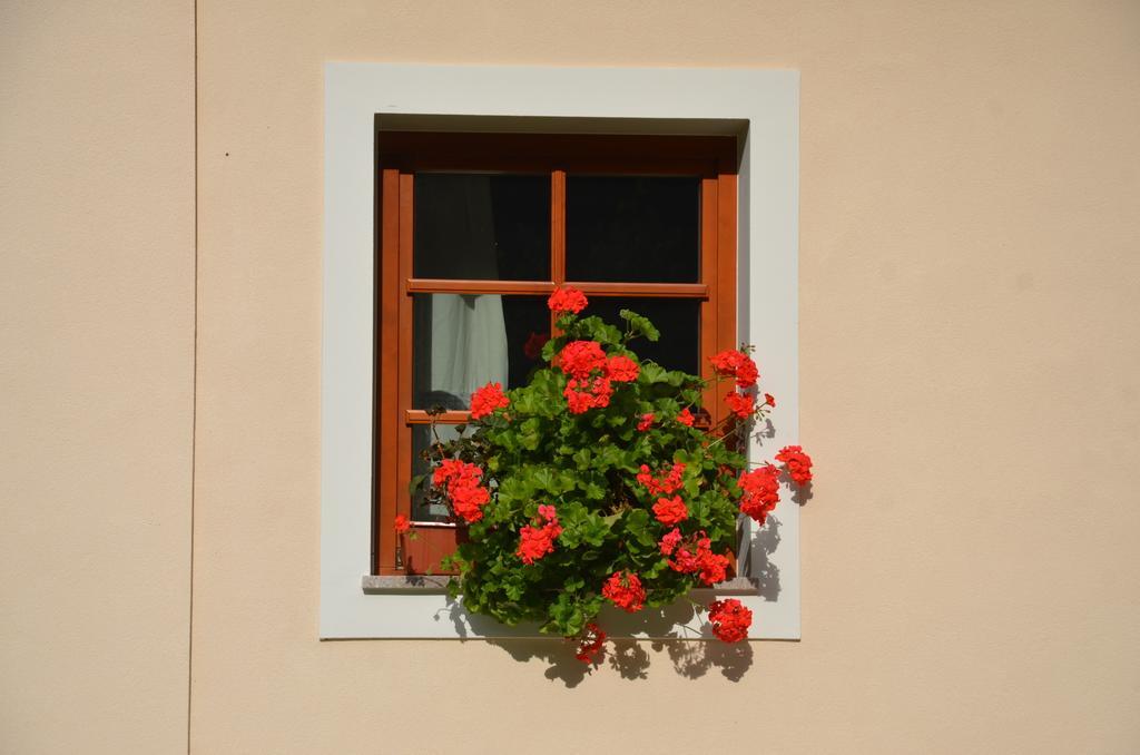The Farmhouse Bevsek Osep Solčava 外观 照片